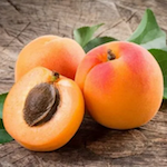 apricot2.png